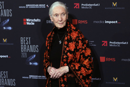 Best Brands Award 2020 in München