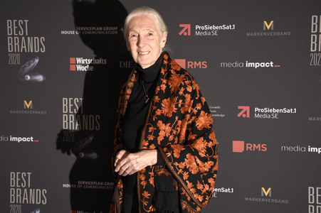 Best Brands Award 2020 in München