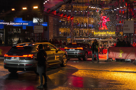 Festivaleröffnung und Filmpremiere 'My Salinger Year', Berlinale 2020