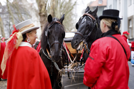Rosenmontagszug 2020 in Köln
