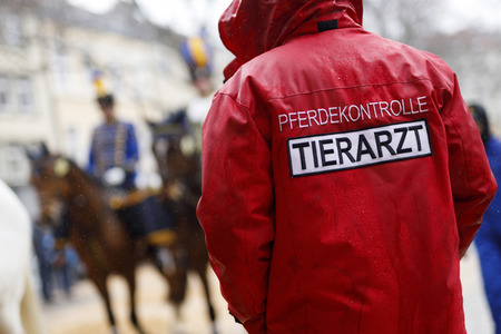 Rosenmontagszug 2020 in Köln