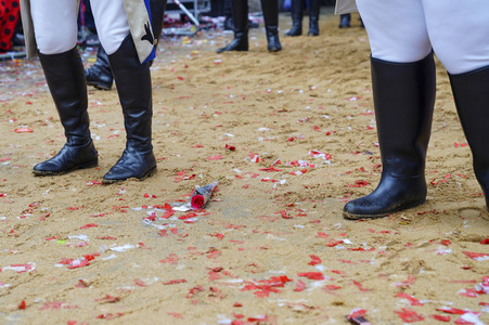 Rosenmontagszug 2020 in Köln