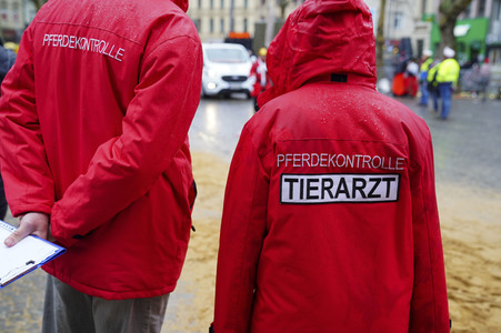 Rosenmontagszug 2020 in Köln