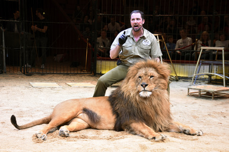 3. Presseempfang zum März-Programm vom Circus Krone in München