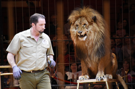 3. Presseempfang zum März-Programm vom Circus Krone in München