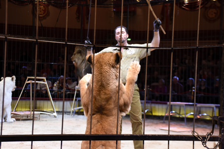 3. Presseempfang zum März-Programm vom Circus Krone in München
