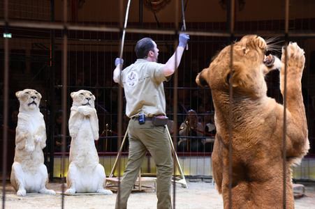 3. Presseempfang zum März-Programm vom Circus Krone in München