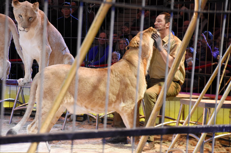 3. Presseempfang zum März-Programm vom Circus Krone in München