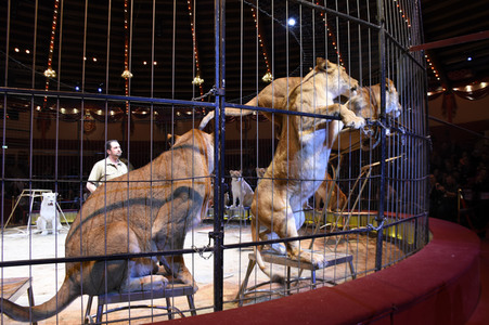 3. Presseempfang zum März-Programm vom Circus Krone in München