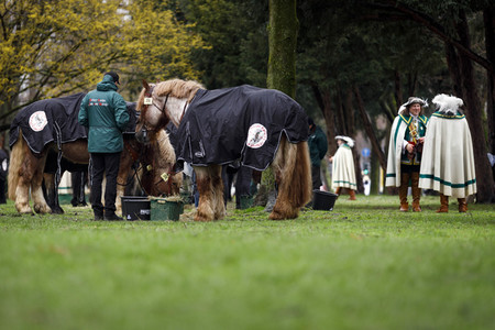 Rosenmontagszug 2020 in Köln