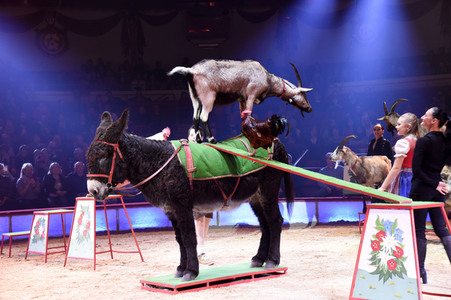 Premiere 3. Winterprogramm 2019/2020 Circus Krone in München