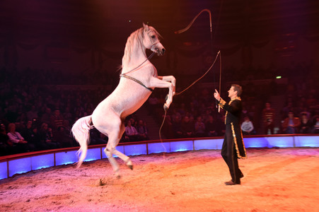 Premiere 3. Winterprogramm 2019/2020 Circus Krone in München