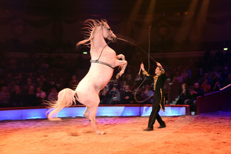 Premiere 3. Winterprogramm 2019/2020 Circus Krone in München