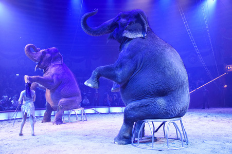 Premiere 3. Winterprogramm 2019/2020 Circus Krone in München