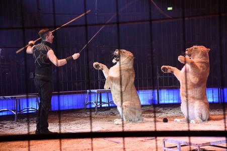 Premiere 3. Winterprogramm 2019/2020 Circus Krone in München