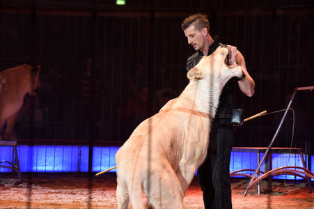 Premiere 3. Winterprogramm 2019/2020 Circus Krone in München