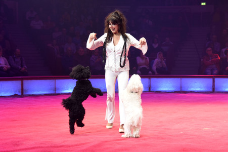 Premiere 3. Winterprogramm 2019/2020 Circus Krone in München