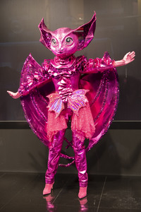 'The Masked Singer' Press-Club in Köln