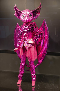 'The Masked Singer' Press-Club in Köln