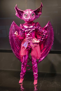 'The Masked Singer' Press-Club in Köln