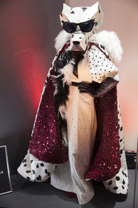 'The Masked Singer' Press-Club in Köln