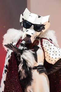 'The Masked Singer' Press-Club in Köln