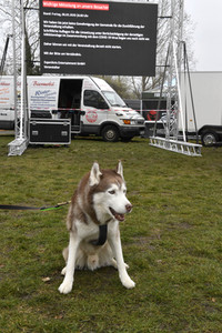 Usedom nach der Absage der Baltic Lights 2020