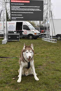 Usedom nach der Absage der Baltic Lights 2020