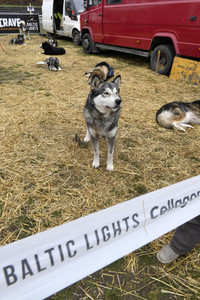 Usedom nach der Absage der Baltic Lights 2020