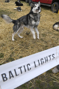 Usedom nach der Absage der Baltic Lights 2020