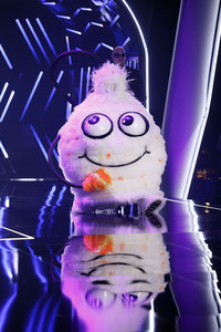 TV-Show 'The Masked Singer' in Köln