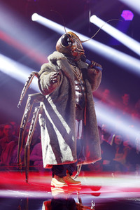 TV-Show 'The Masked Singer' in Köln