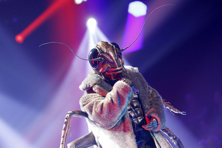 TV-Show 'The Masked Singer' in Köln