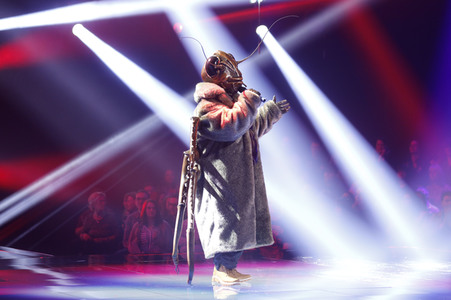 TV-Show 'The Masked Singer' in Köln