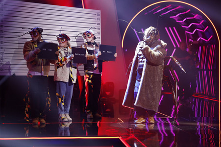 TV-Show 'The Masked Singer' in Köln