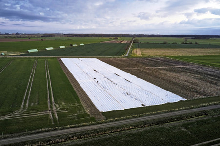 Symbolfoto Erntehelfer Notstand