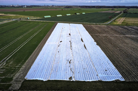 Symbolfoto Erntehelfer Notstand