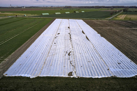 Symbolfoto Erntehelfer Notstand