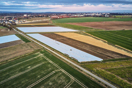 Symbolfoto Erntehelfer Notstand