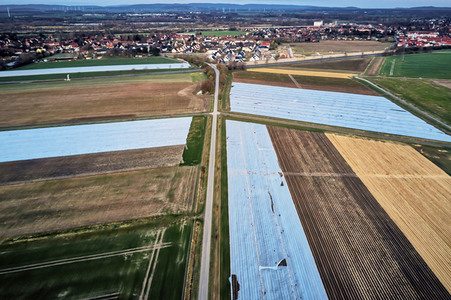 Symbolfoto Erntehelfer Notstand