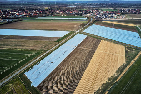 Symbolfoto Erntehelfer Notstand