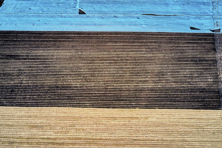 Symbolfoto Erntehelfer Notstand