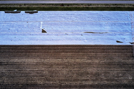 Symbolfoto Erntehelfer Notstand