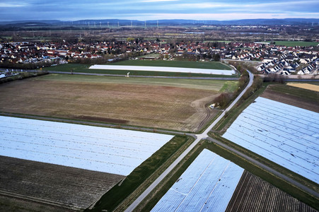 Symbolfoto Erntehelfer Notstand