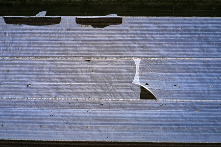 Symbolfoto Erntehelfer Notstand