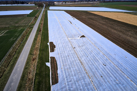 Symbolfoto Erntehelfer Notstand