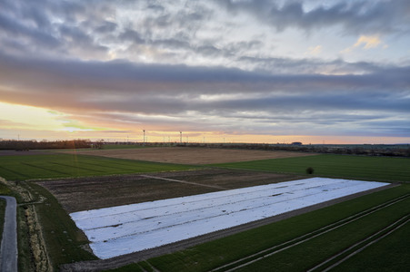 Symbolfoto Erntehelfer Notstand