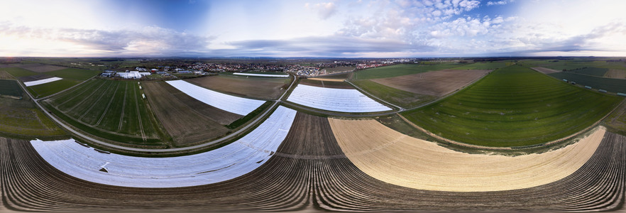 Symbolfoto Erntehelfer Notstand