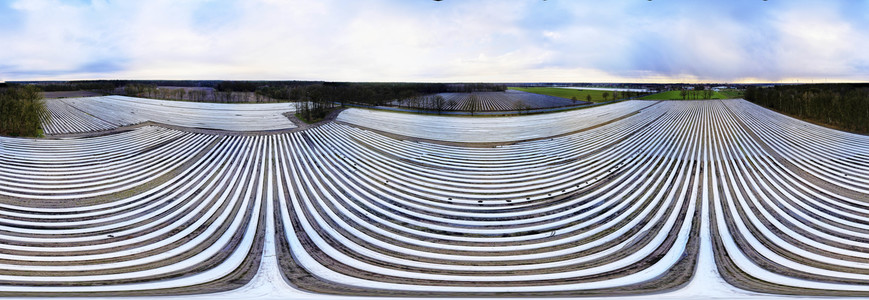 Symbolfoto Erntehelfer Notstand
