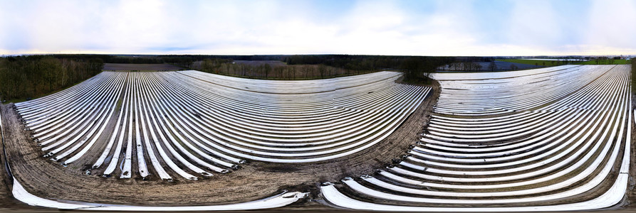 Symbolfoto Erntehelfer Notstand